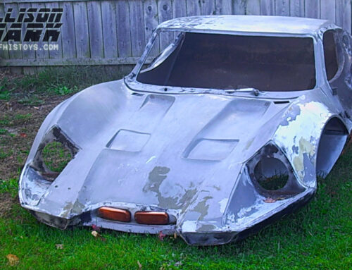 Kellison Shark Body in Michigan